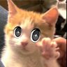 aewish || ISPY ๐ ็ๅคดๅ
