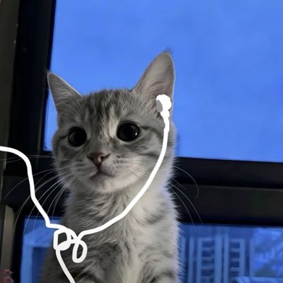 ◡̈'s profile picture