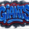 Nyg-Aficionado's profile picture