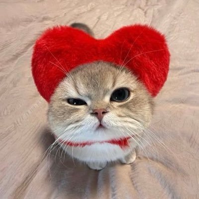 Vivianfoo520's profile picture