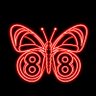 Pollen8TV 🦋 的头像