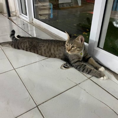 phr_di22493's profile picture