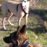 Raro, raro, raroo profil fotoğrafı