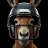 The Blitzing Burro 的头像