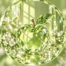 fuwafuwa🍏's profile picture