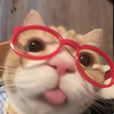 smolcathappycat's profile picture