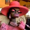 NoMtsamayi 👨🏾🦯 profil fotoğrafı