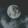 Luna's profile picture