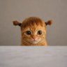 Muji_na😽 profil fotoğrafı
