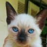 ميثم's profile picture