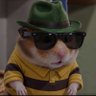 مراقب_حُر's profile picture