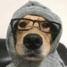 Profilbild von Federico Standard