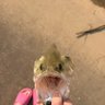 TAIWO❤️ profil fotoğrafı