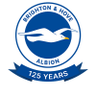 Brighton & Hove Albion profil fotoğrafı