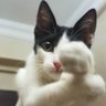 Mugo18 profil fotoğrafı