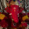 Profilbild von shreedhar marathe