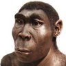 homo erect's profile picture