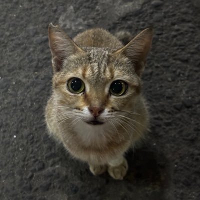 kudaniel's profile picture