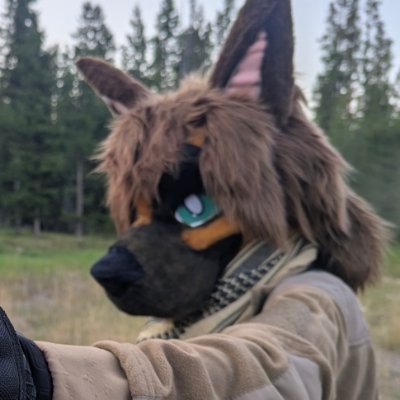 dawgshotmedia's profile picture