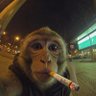 Tiss profil fotoğrafı