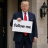 Profilbild von trumpfreemoney
