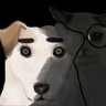 ukinokinou's profile picture