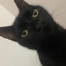 biel 🇮🇩 profil fotoğrafı