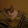 im_allxz's profile picture