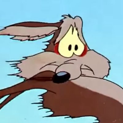 rodeorosebud's profile picture