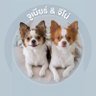 Profilbild von จูเนียร์ & จีโน่ | ScrollPop