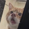 คุณวู้ววว 的头像