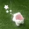 Profilbild von natu