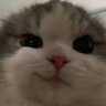 Rich's profile picture