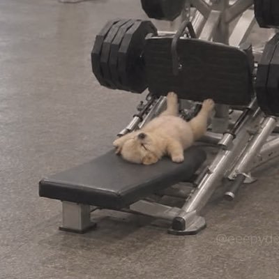 븨븨's profile picture