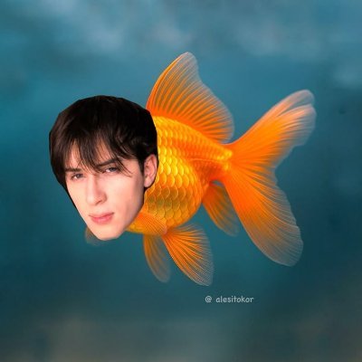 stbv_rockstar's profile picture