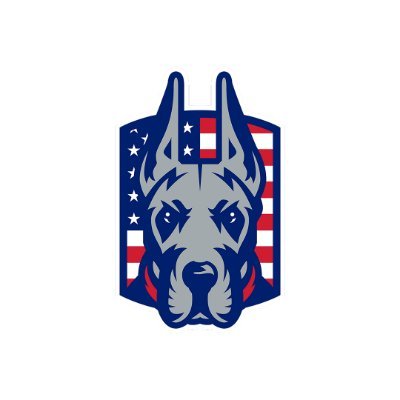 UAlbany Football's profile picture