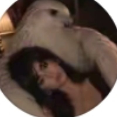 jwkr4509391's profile picture