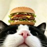 行嘞's profile picture