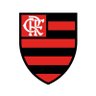 Фото профиля Flamengo