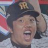 Profilbild von あさみ🐯