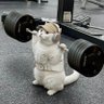 Dayo profil fotoğrafı