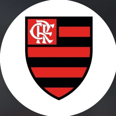 Flamengo_en's profile picture