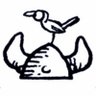 Profilbild von Sven Viking