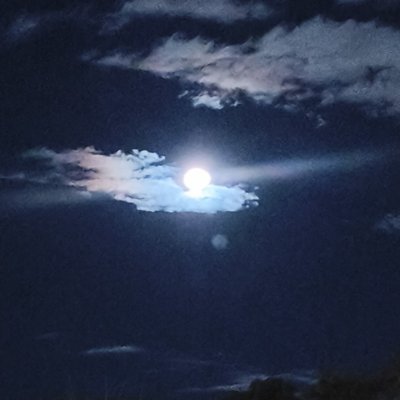 CGleinison's profile picture