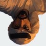حنظل's profile picture
