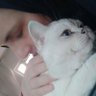 Profilbild von Issız🐈