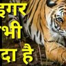 Rajivkhan786's profile picture