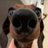 Profilbild von la wea friki