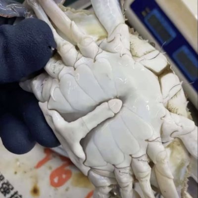 T44T4_'s profile picture