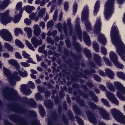 Wicked woman.🐆🍒's profile picture